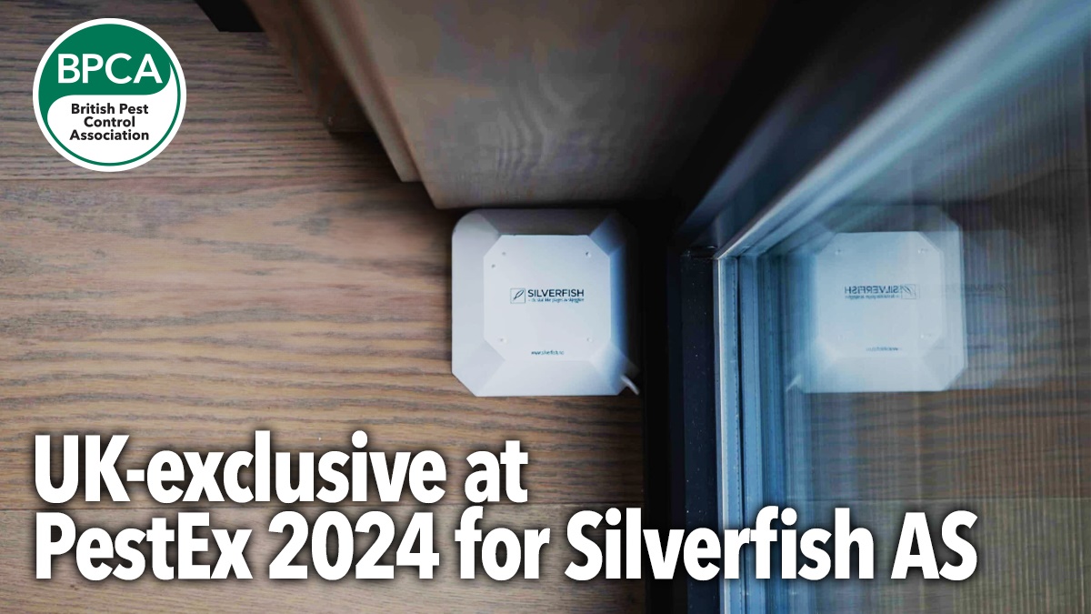 silverfish ex hero silverfish ex hero